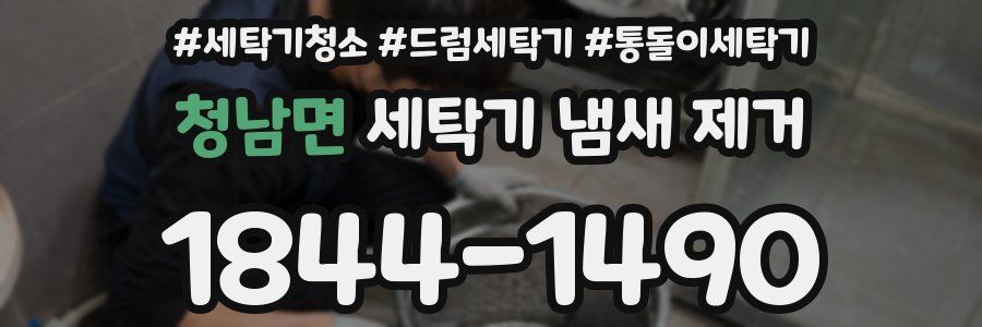 청남면 세탁기 냄새 제거