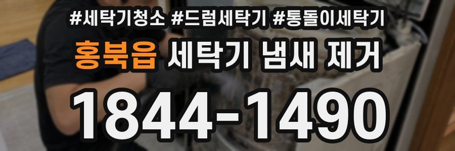 홍북읍 세탁기 냄새 제거