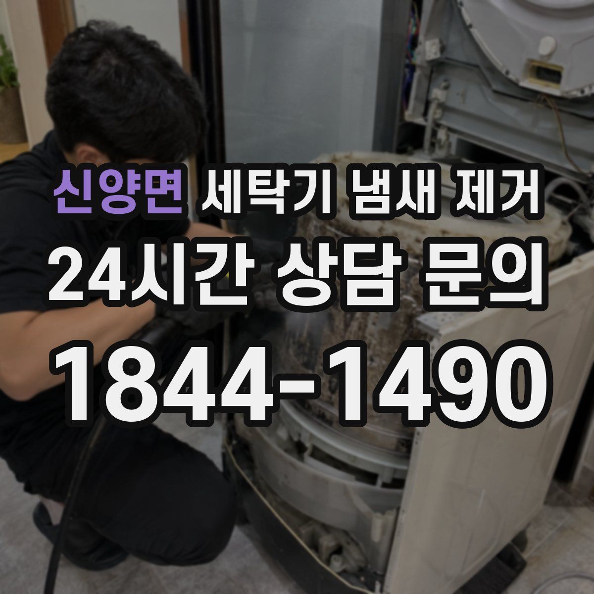 신양면 세탁기 냄새 제거