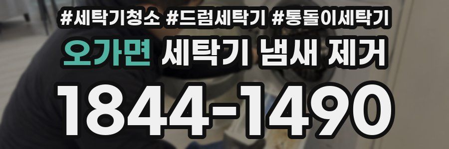 오가면 세탁기 냄새 제거