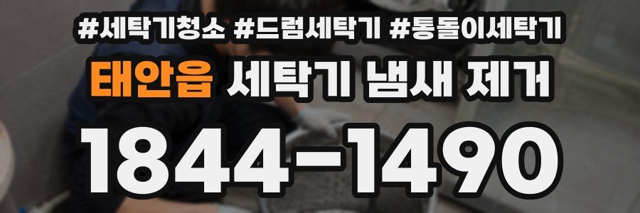 태안읍 세탁기 냄새 제거