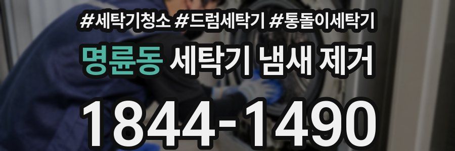 명륜동 세탁기 냄새 제거