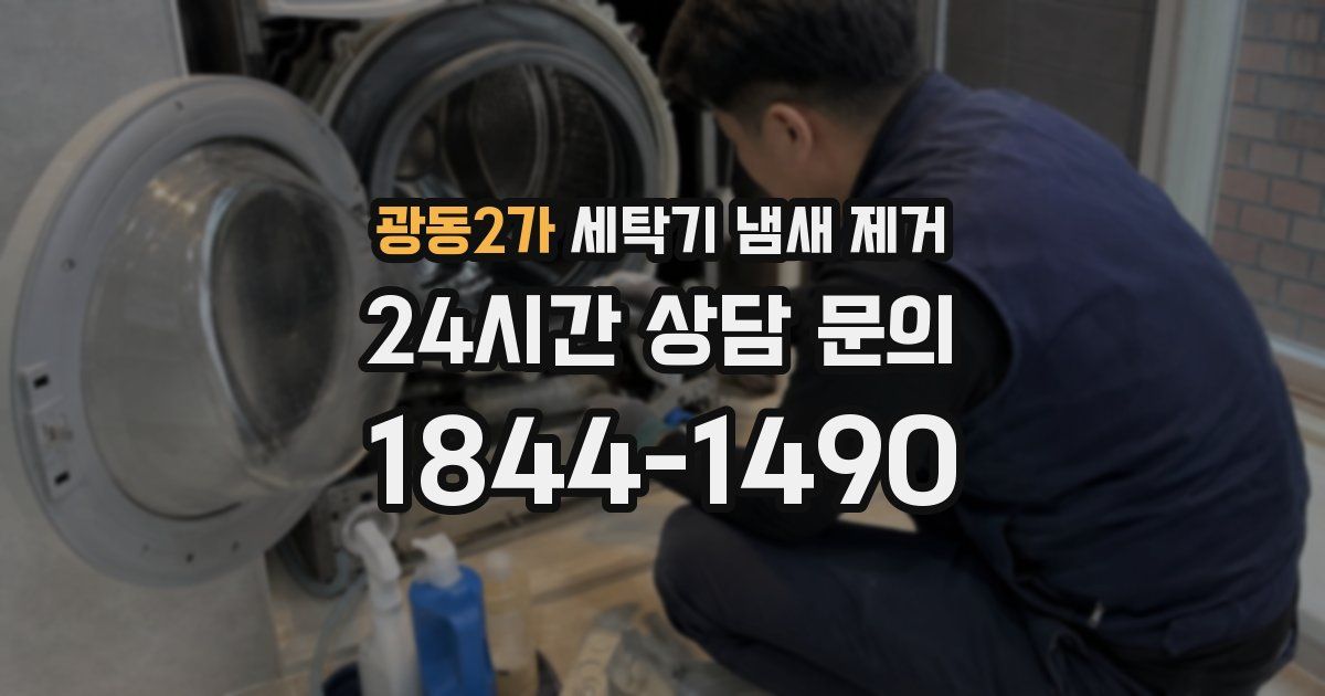 광동2가 세탁기 냄새 제거