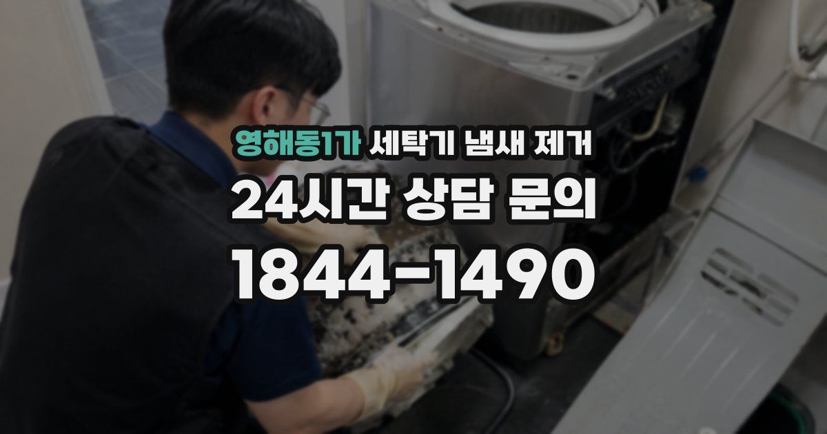 영해동1가 세탁기 냄새 제거