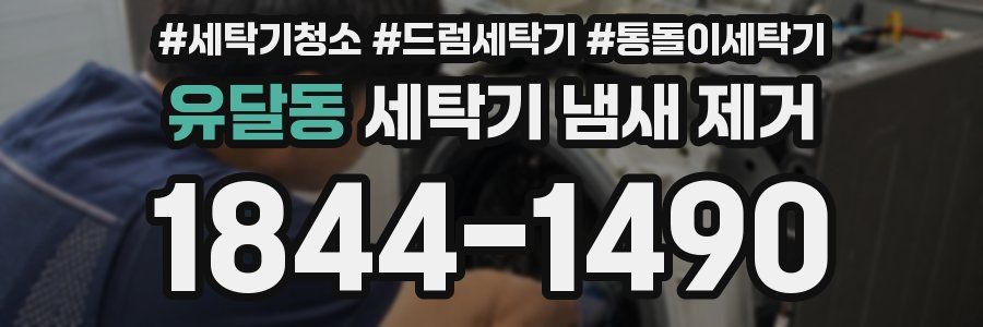 유달동 세탁기 냄새 제거