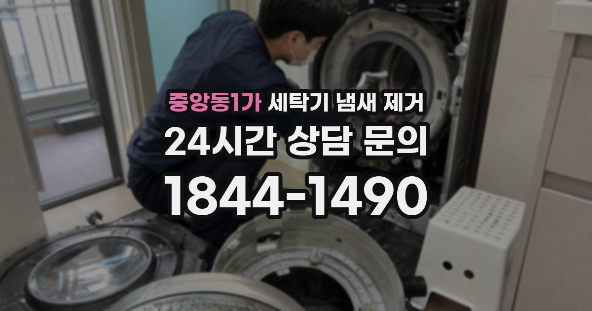 중앙동1가 세탁기 냄새 제거