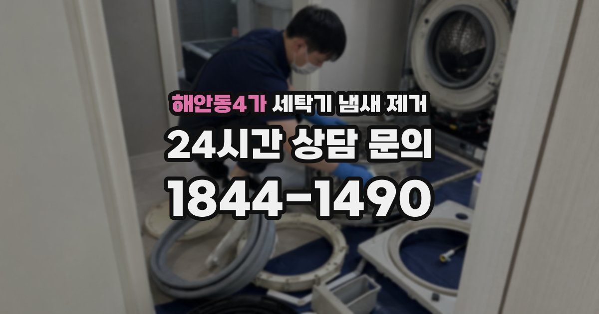 해안동4가 세탁기 냄새 제거