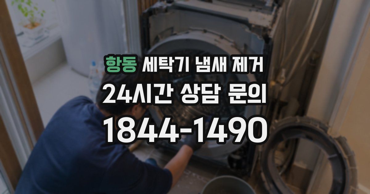 항동 세탁기 냄새 제거