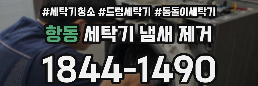 항동 세탁기 냄새 제거