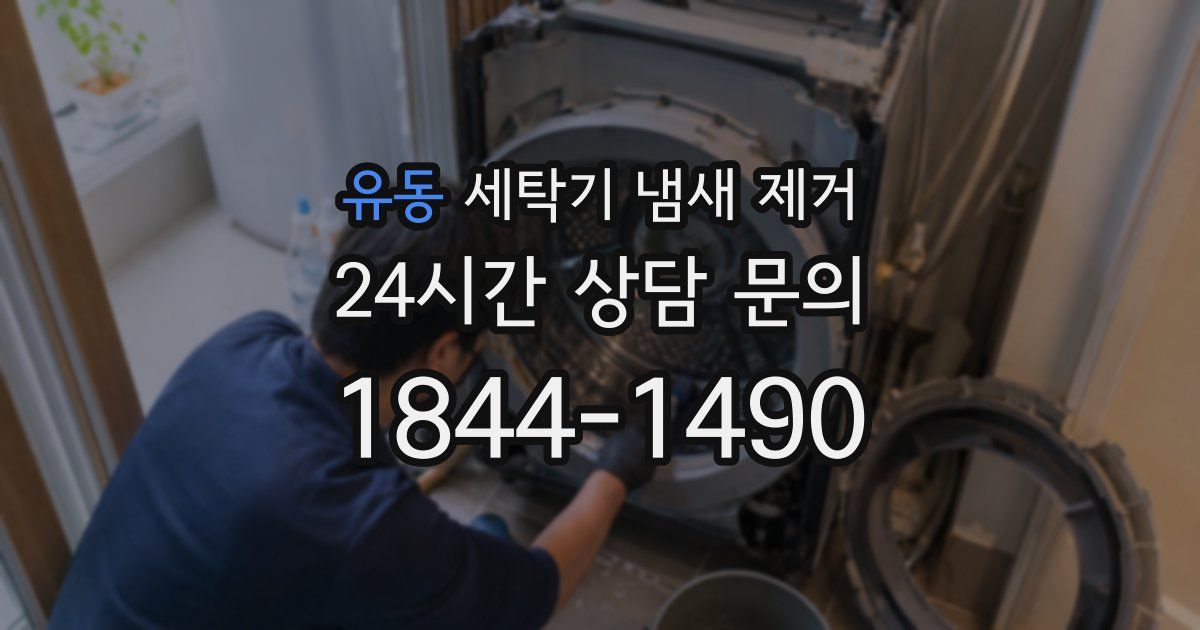 유동 세탁기 냄새 제거