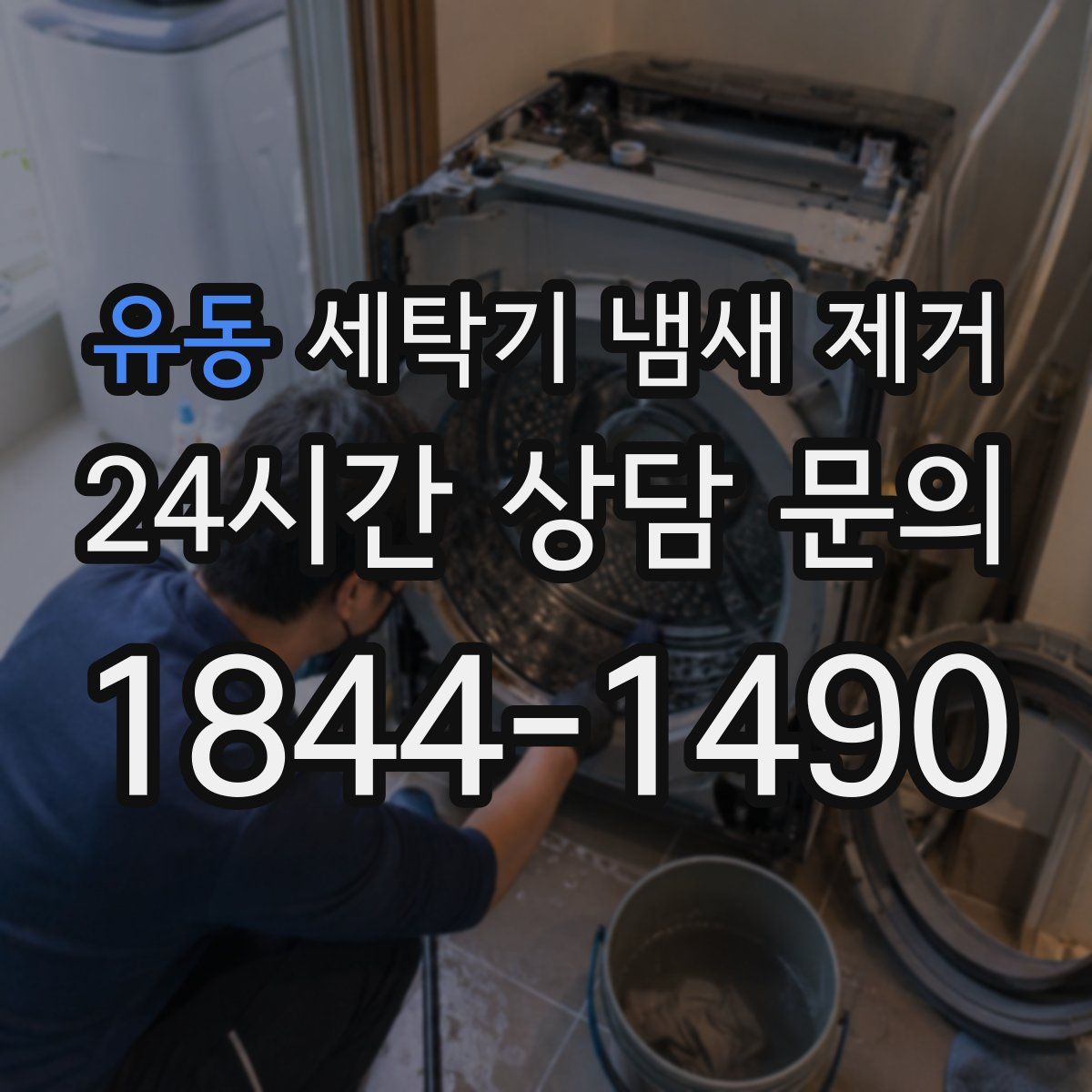유동 세탁기 냄새 제거