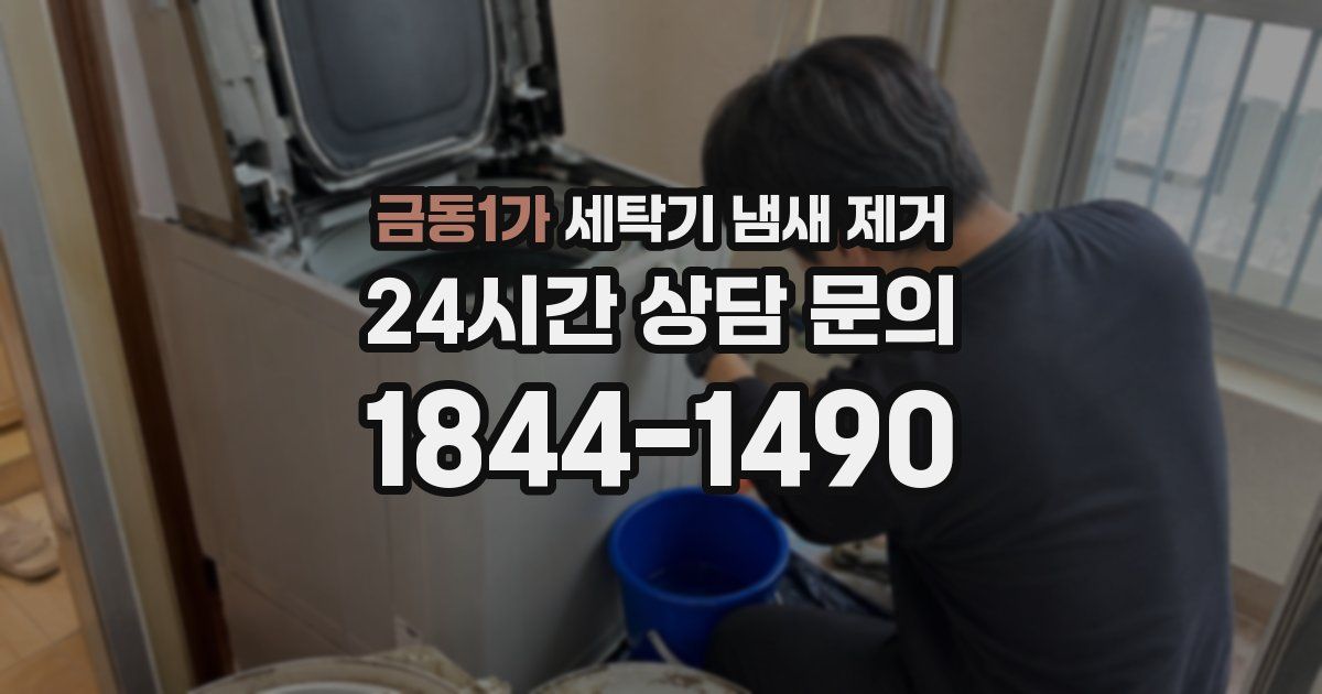 금동1가 세탁기 냄새 제거