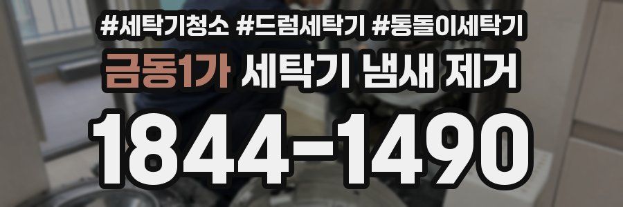 금동1가 세탁기 냄새 제거