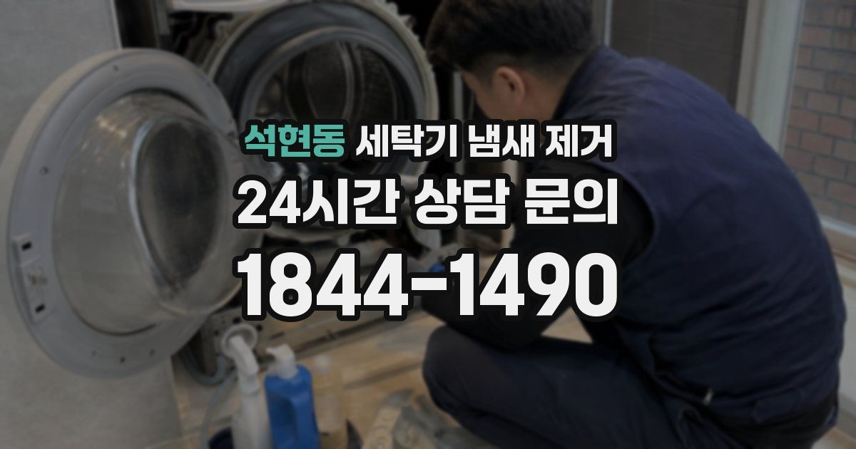 석현동 세탁기 냄새 제거