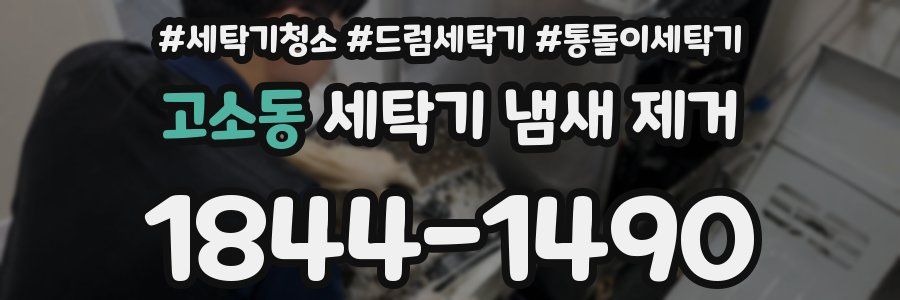고소동 세탁기 냄새 제거