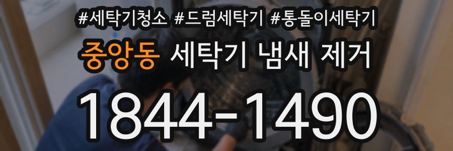 중앙동 세탁기 냄새 제거
