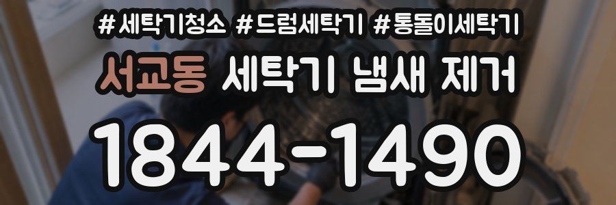 서교동 세탁기 냄새 제거