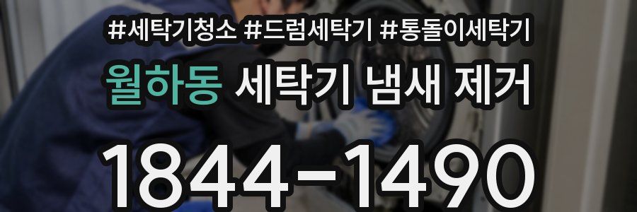 월하동 세탁기 냄새 제거