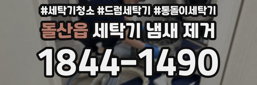 돌산읍 세탁기 냄새 제거