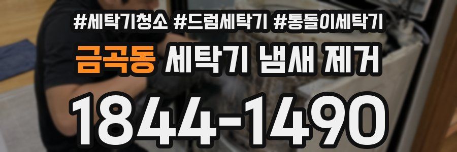 금곡동 세탁기 냄새 제거