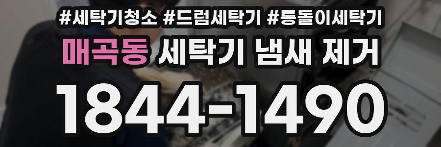 매곡동 세탁기 냄새 제거