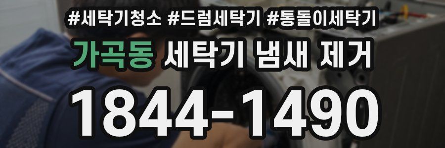 가곡동 세탁기 냄새 제거