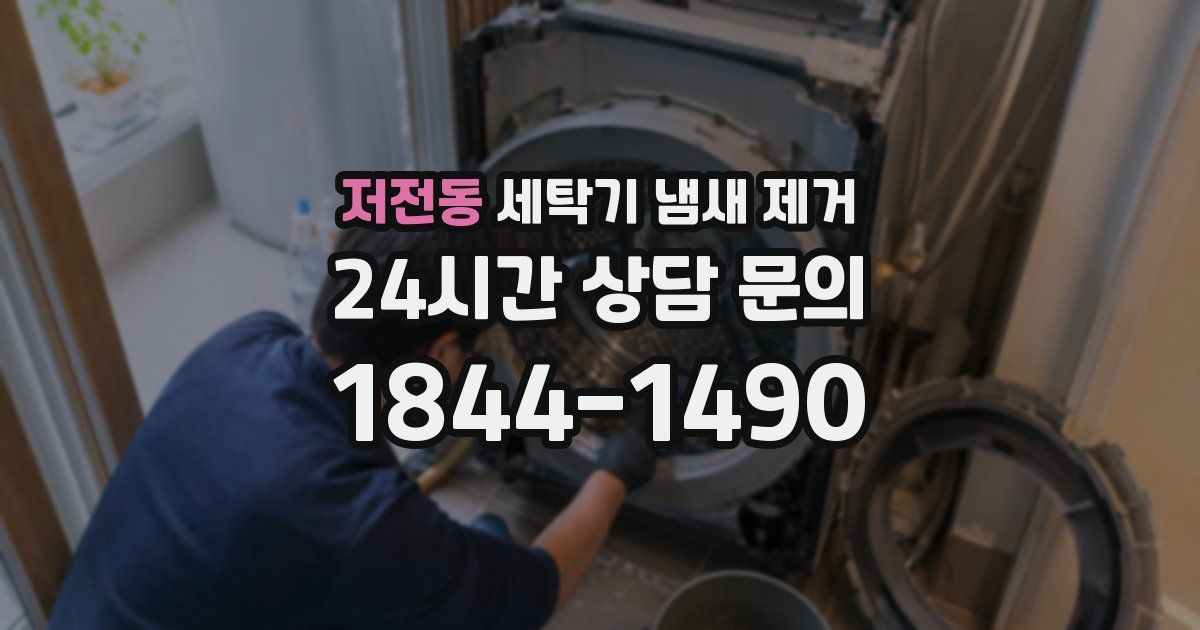 저전동 세탁기 냄새 제거