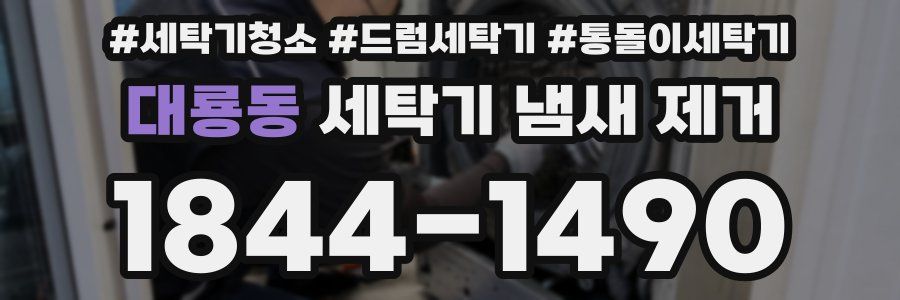 대룡동 세탁기 냄새 제거