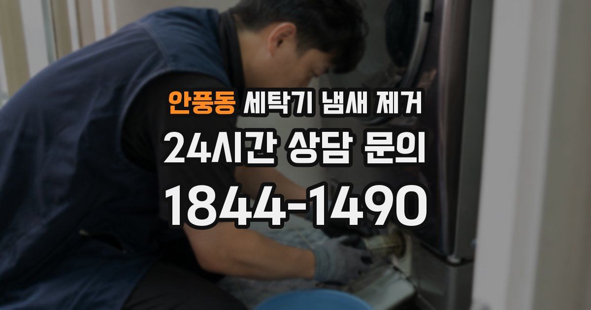 안풍동 세탁기 냄새 제거