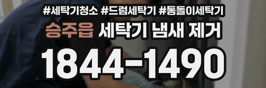 승주읍 세탁기 냄새 제거