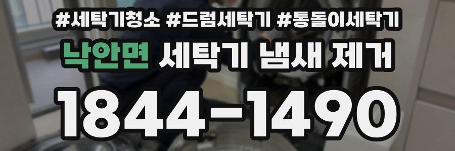 낙안면 세탁기 냄새 제거