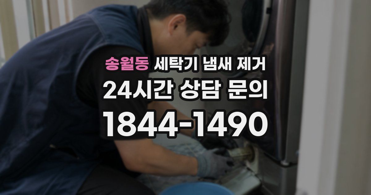 송월동 세탁기 냄새 제거