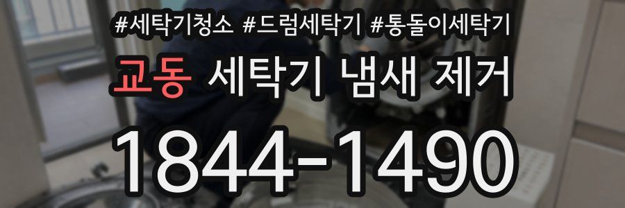 교동 세탁기 냄새 제거