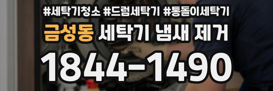 금성동 세탁기 냄새 제거