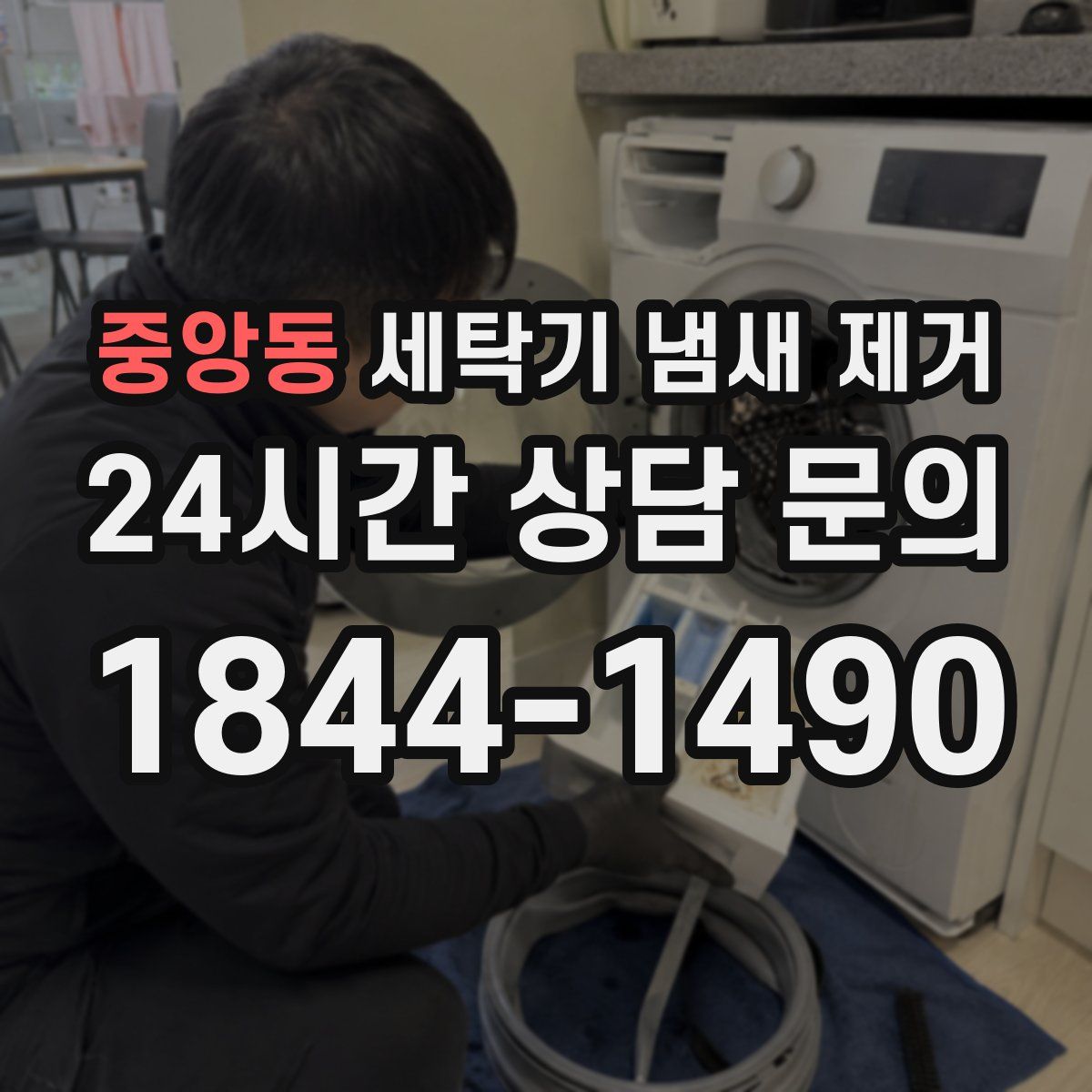 중앙동 세탁기 냄새 제거