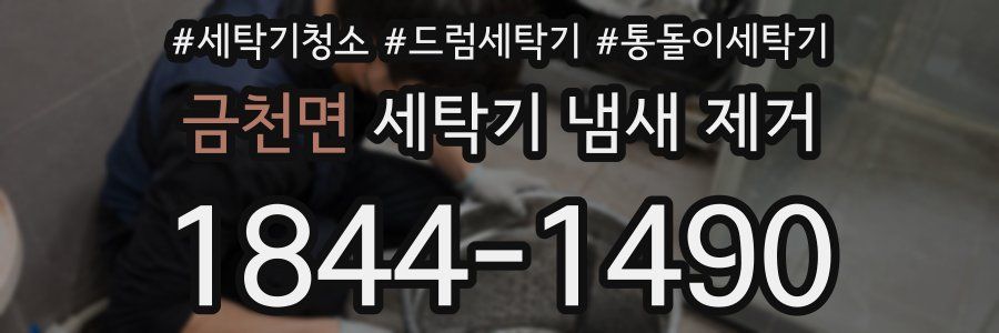금천면 세탁기 냄새 제거