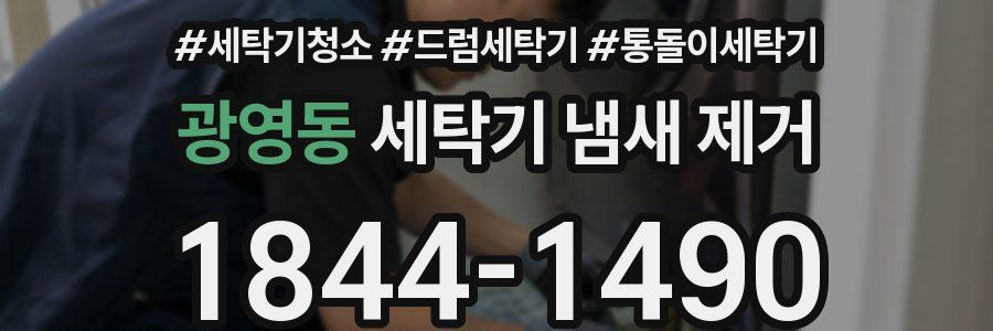 광영동 세탁기 냄새 제거