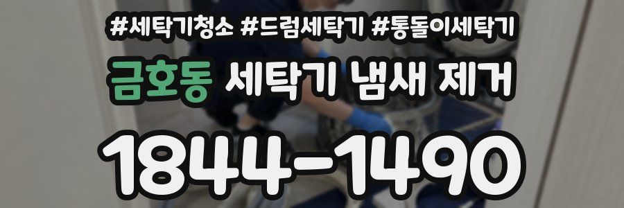 금호동 세탁기 냄새 제거