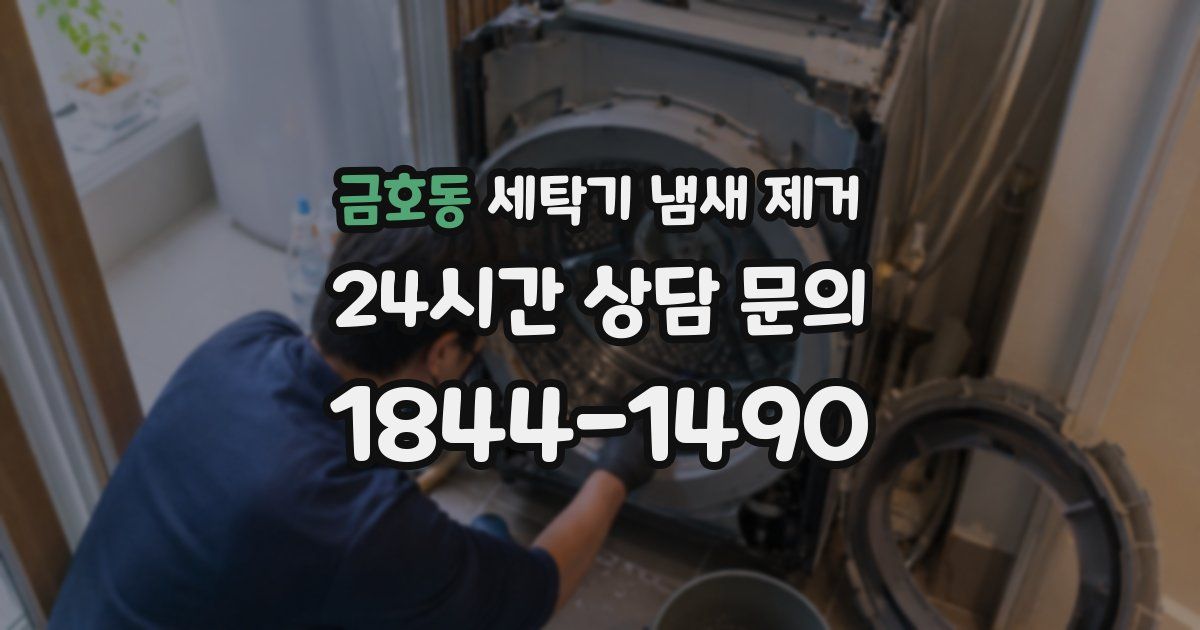 금호동 세탁기 냄새 제거