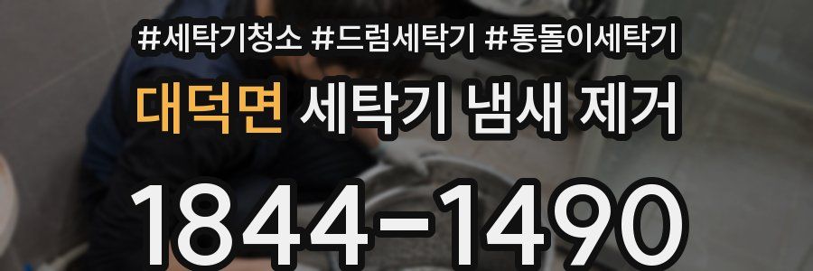 대덕면 세탁기 냄새 제거