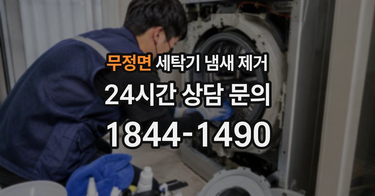 무정면 세탁기 냄새 제거