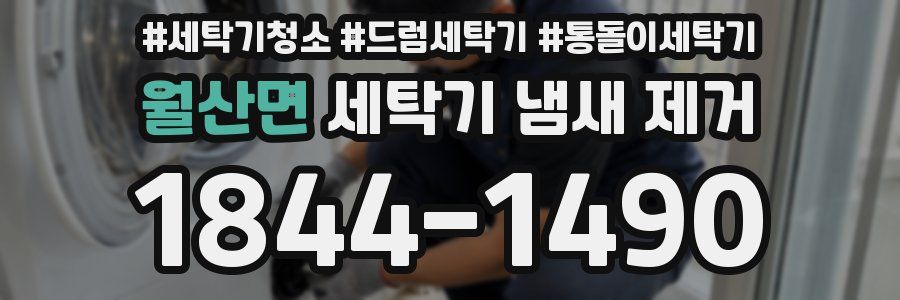 월산면 세탁기 냄새 제거
