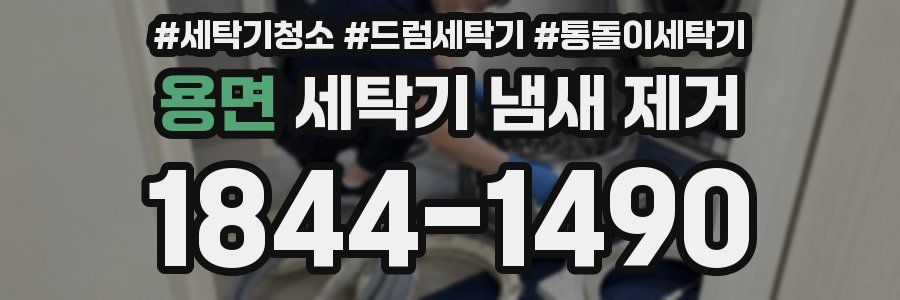 용면 세탁기 냄새 제거