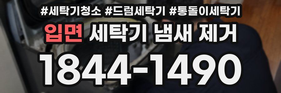입면 세탁기 냄새 제거