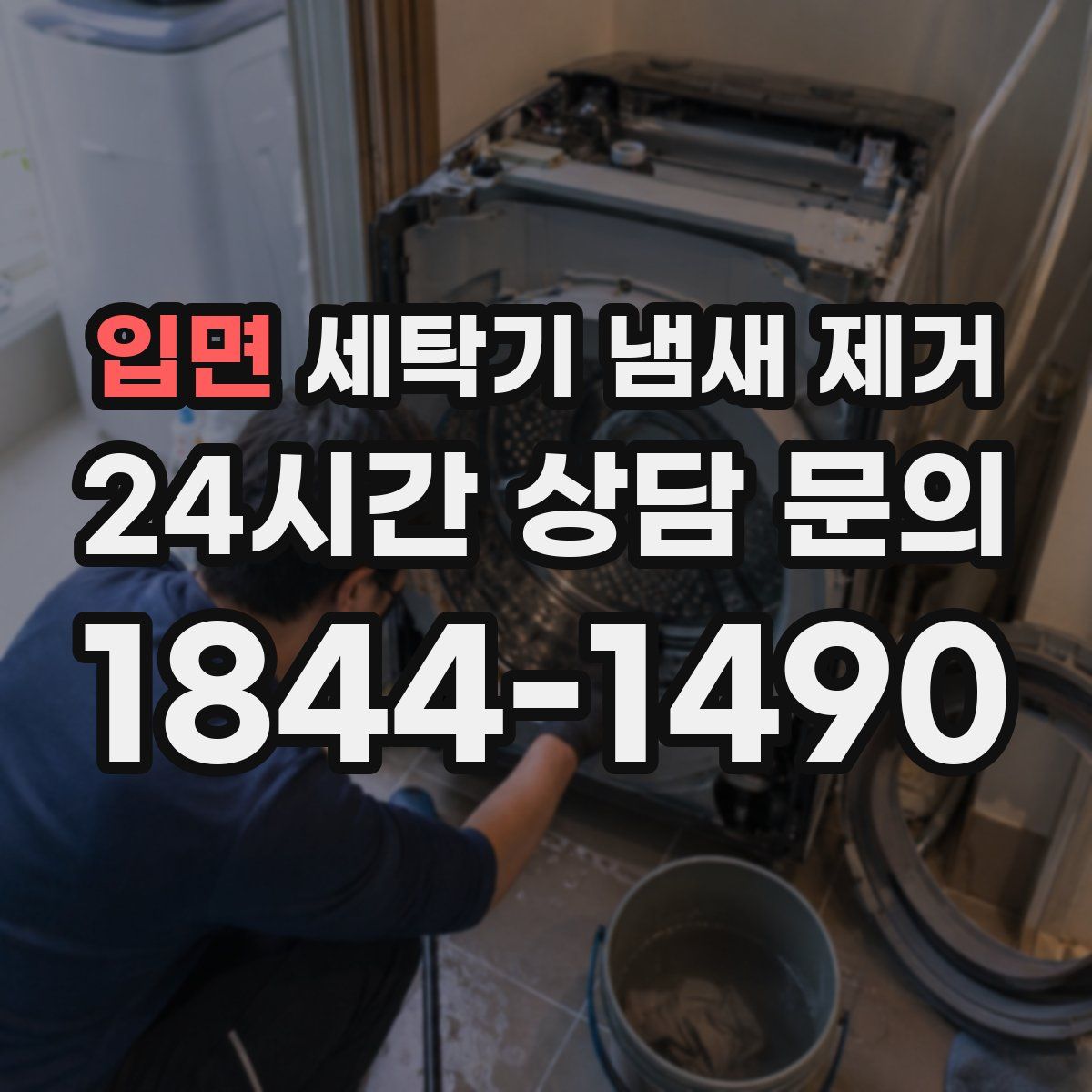 입면 세탁기 냄새 제거