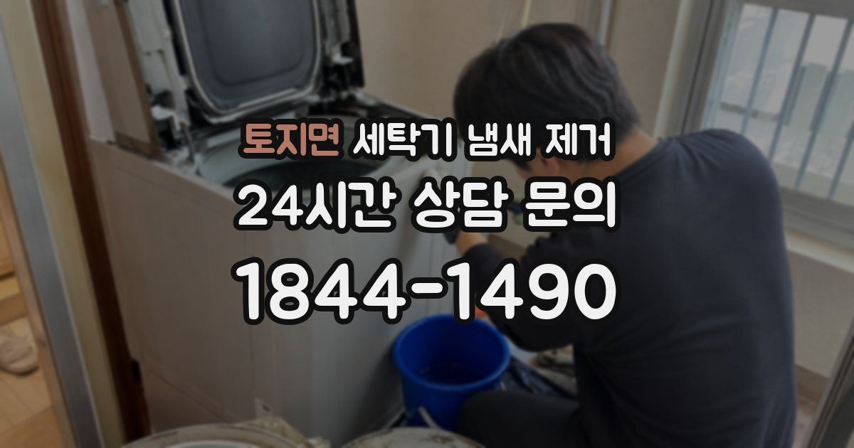 토지면 세탁기 냄새 제거
