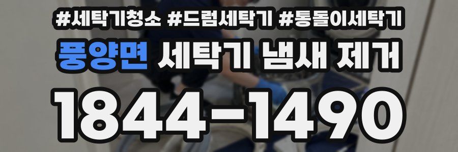 풍양면 세탁기 냄새 제거