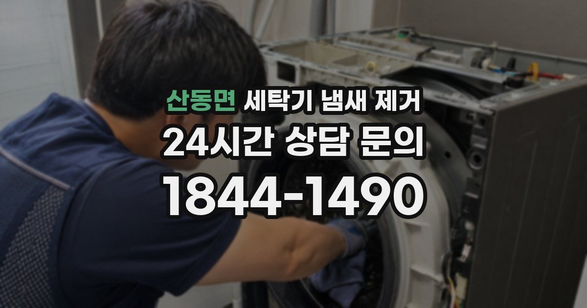 산동면 세탁기 냄새 제거