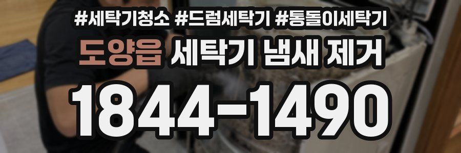 도양읍 세탁기 냄새 제거