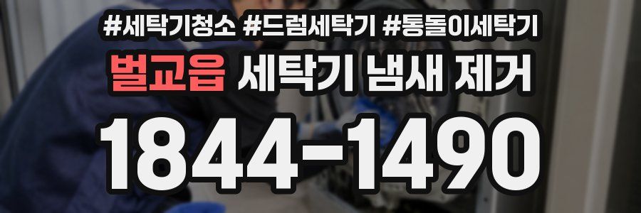 벌교읍 세탁기 냄새 제거